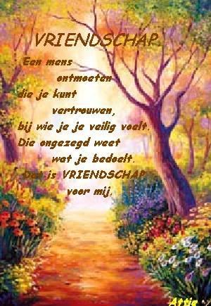 pl-licht-vriendschap-1.jpg