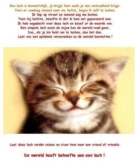 poes6lg8ih.jpg picture by frieda_52