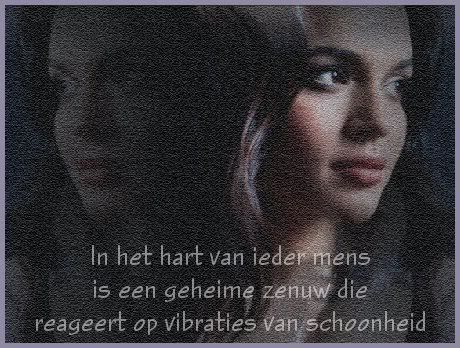 schoonheidsvibraties.jpg picture by frieda_52