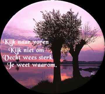 spreuken76tr.jpg picture by frieda_52