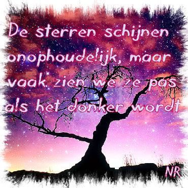 sterren-1.jpg