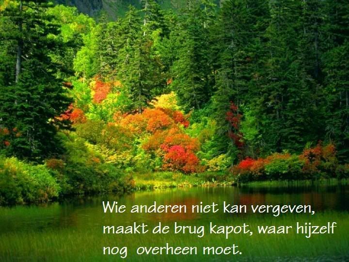 vergeving.jpg picture by frieda_52