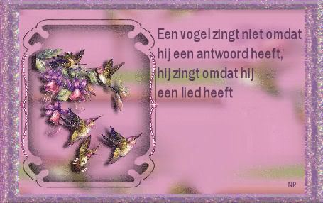 vogels.jpg