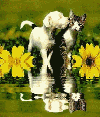 wat22.gif picture by frieda_52