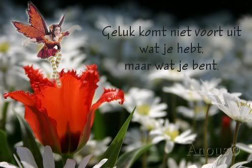 watjebent.jpg picture by frieda_52