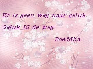 wegnaargeluk.jpg picture by frieda_52