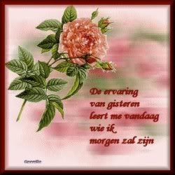 wie.jpg picture by frieda_52