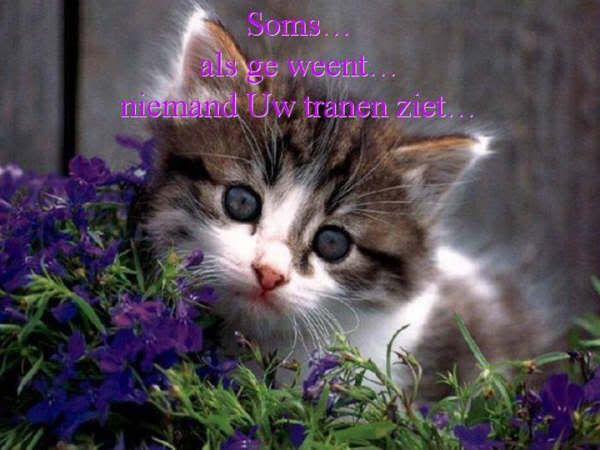 y1p7XZK_YSOhK7tU6Qj4OMH0lphY22HdRwP.jpg picture by frieda_52