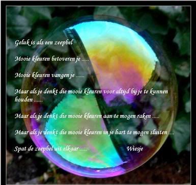 zeepbel.jpg picture by frieda_52