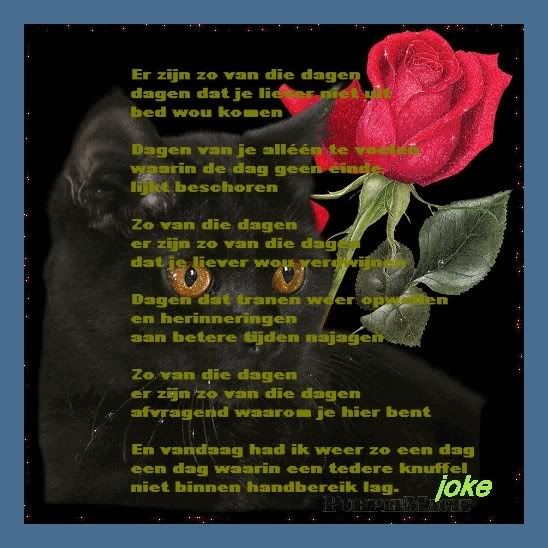 zwartepoesjoke.jpg picture by frieda_52