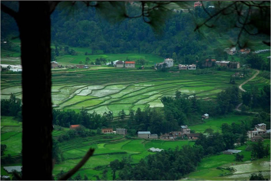 green nepal
