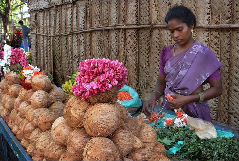 selling pooja coconuts
