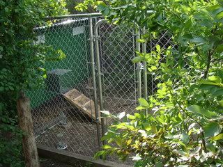 Homesteadiing on 1 acre or less -- roll call - Homesteading Questions