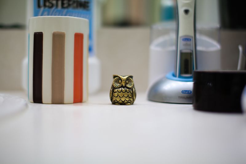 IMAGE: http://i187.photobucket.com/albums/x138/jlai81/Sigma%2050mm/IMG_3476-2_zps4e94a758.jpg