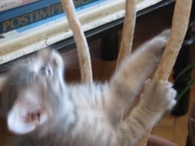 Photo Sharing and Video Hosting at Photobucket