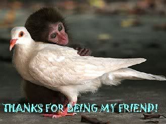 Monkey friend Pictures, Images and Photos