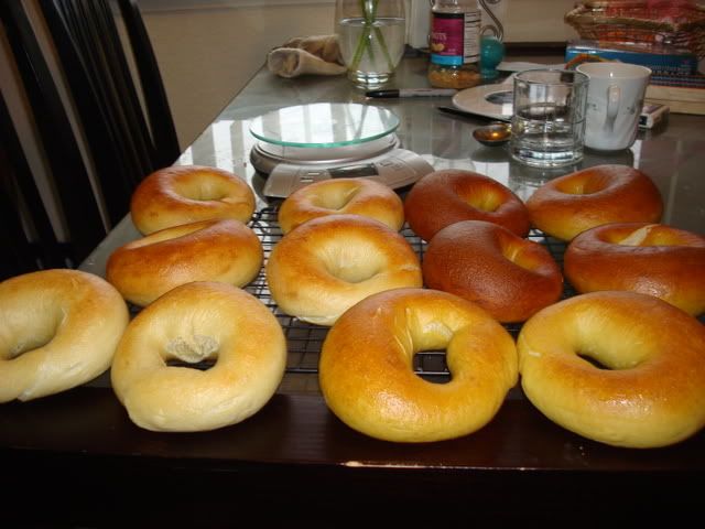 The Great Bagel Experiment!