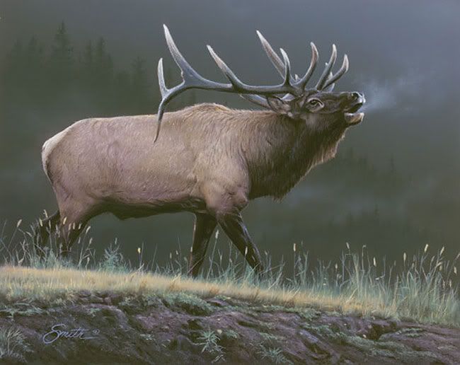 Screensavers Elk | Free Screensavers | Download Free Screensavers For ...