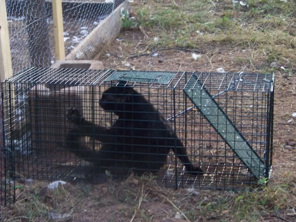 He was not a happy camper either