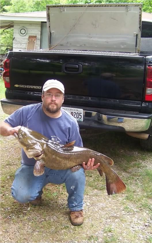 lanier catfish GON Forum