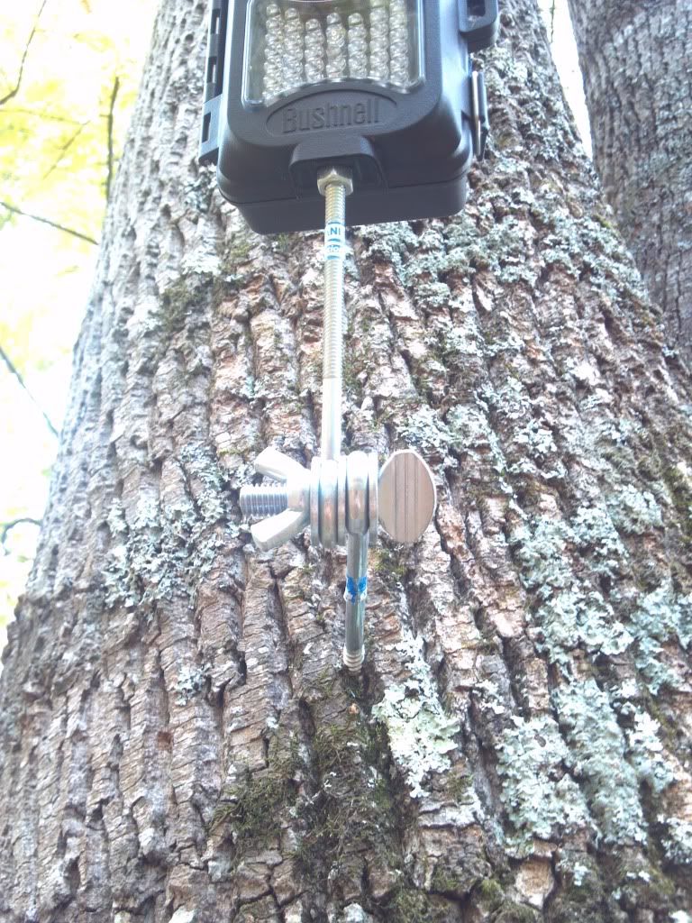 DIY trail camera tree mount GON Forum