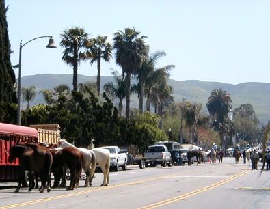 Capistrano Swallows day