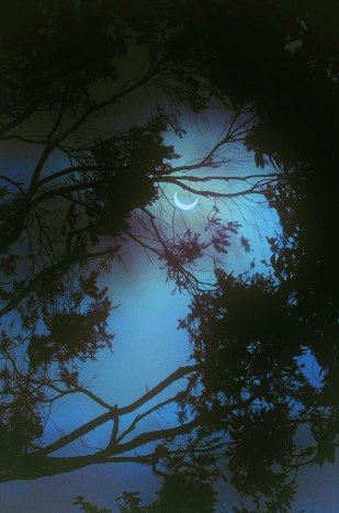 [Bild: moon1.jpg]