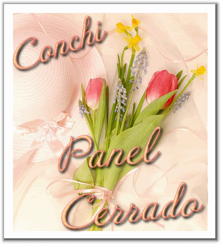 PCerrado.gif Panel Cerrado picture by Conxi