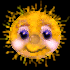 photo suns9.gif
