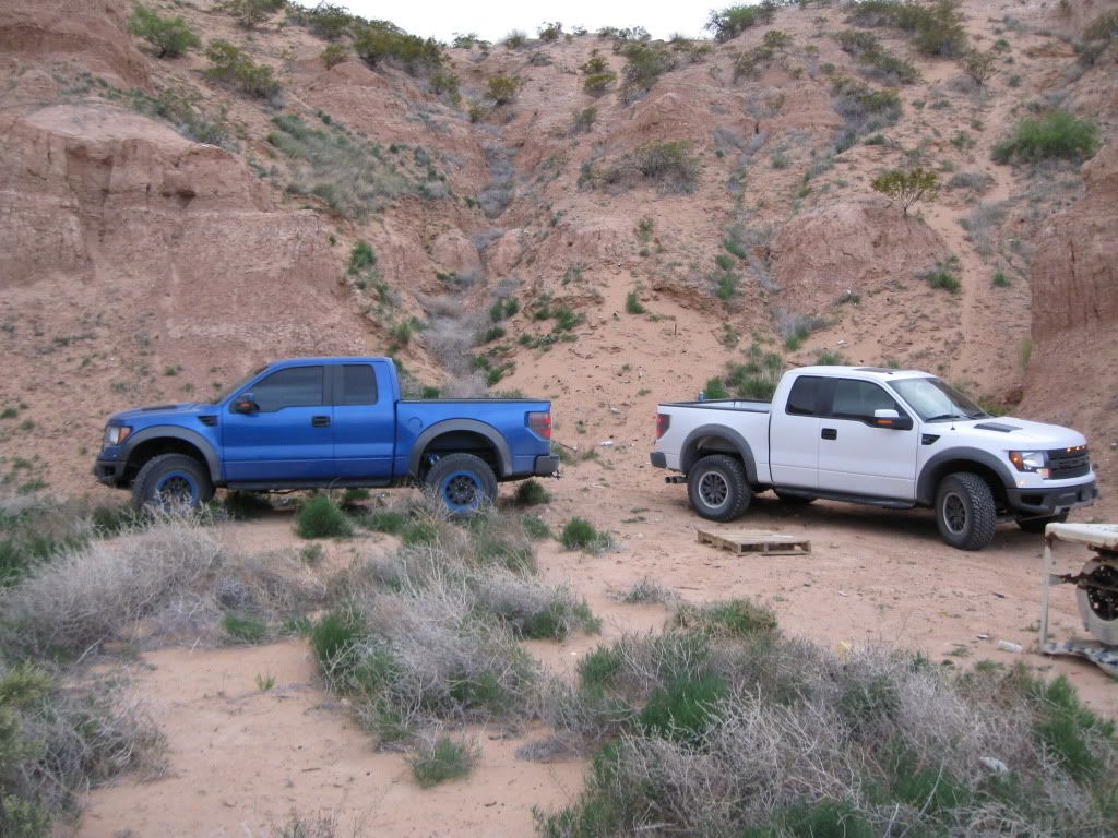 f150-raptor-5-4-vs-6-2-action-ford-powerstroke-diesel-forum