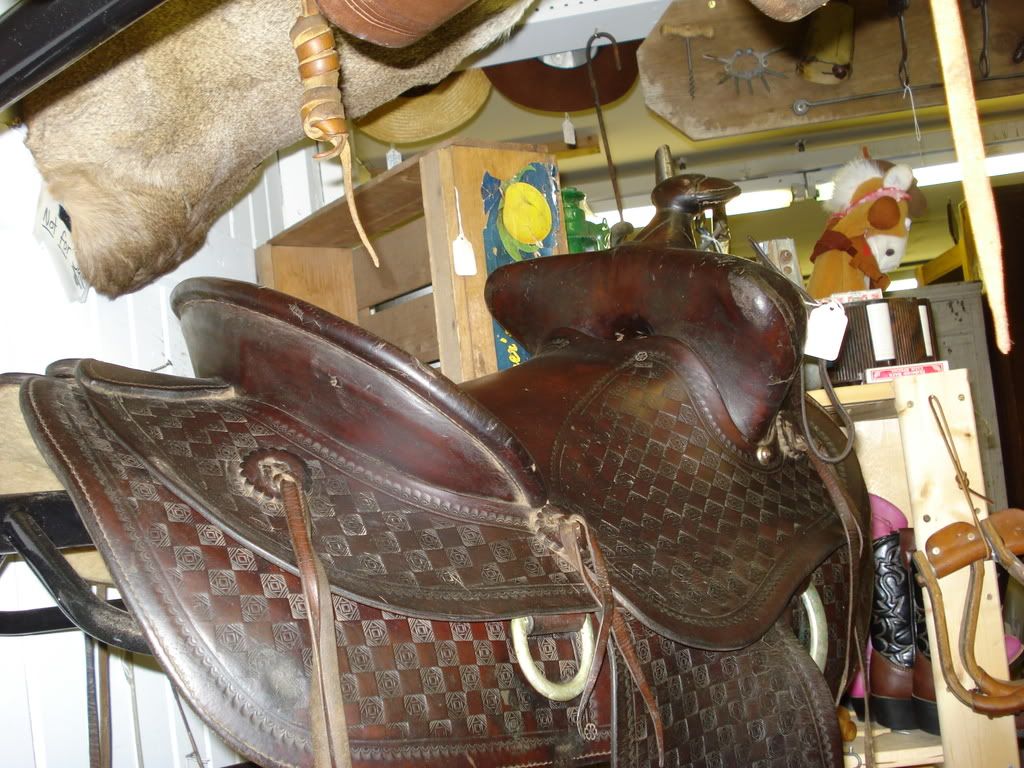 Bear Trap Saddle