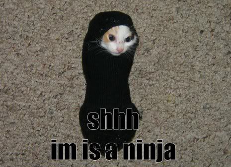 Ninja