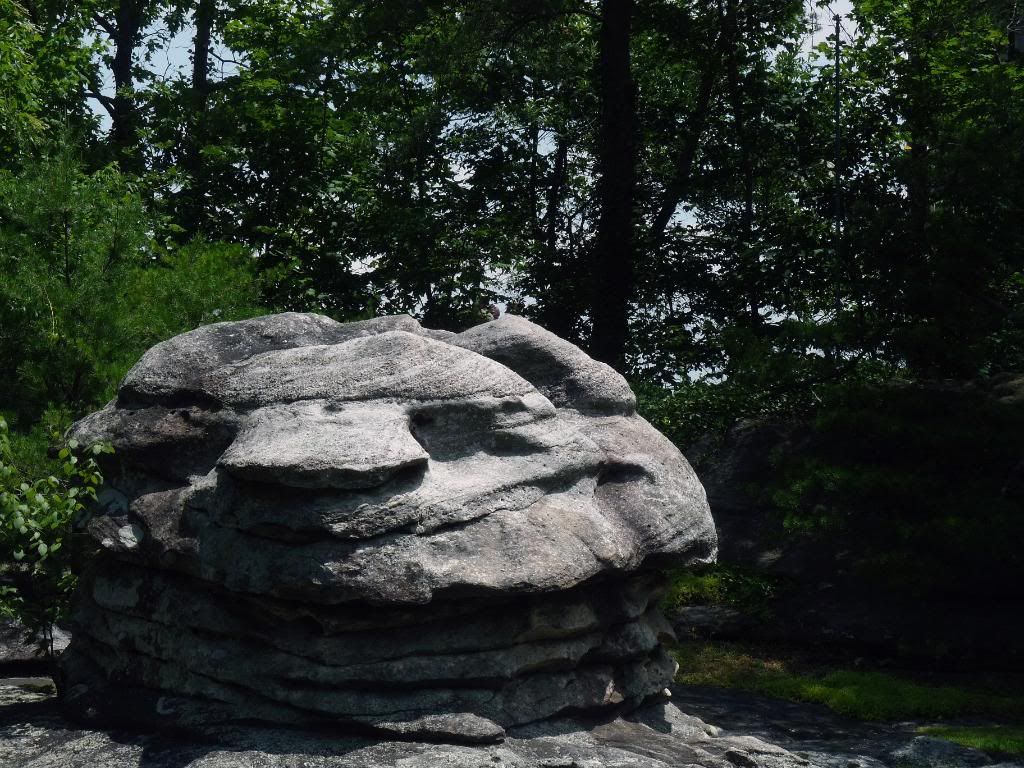 Tortoise Rock