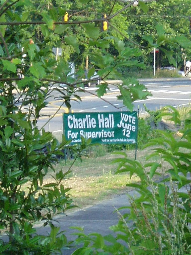 Charlie?s Sign Viewed Through Pretty Foliage