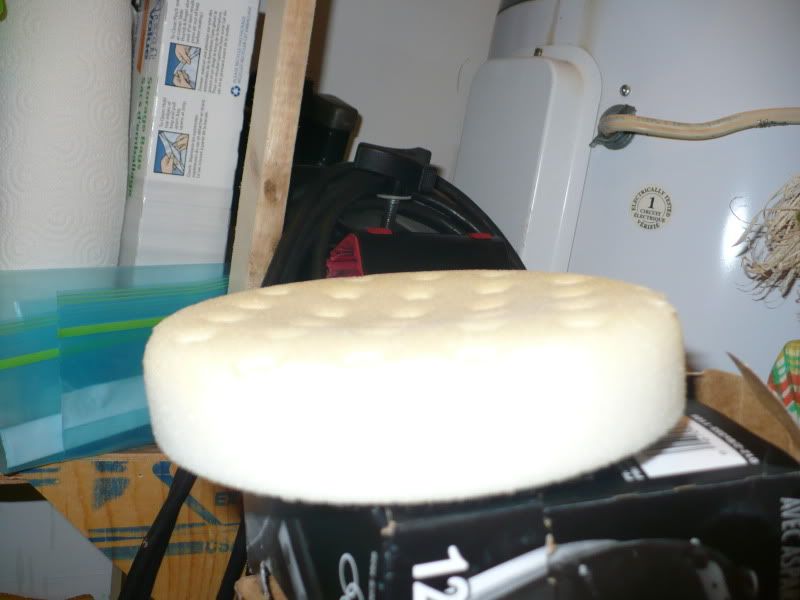 photos229.jpg