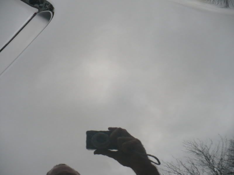 photos267.jpg
