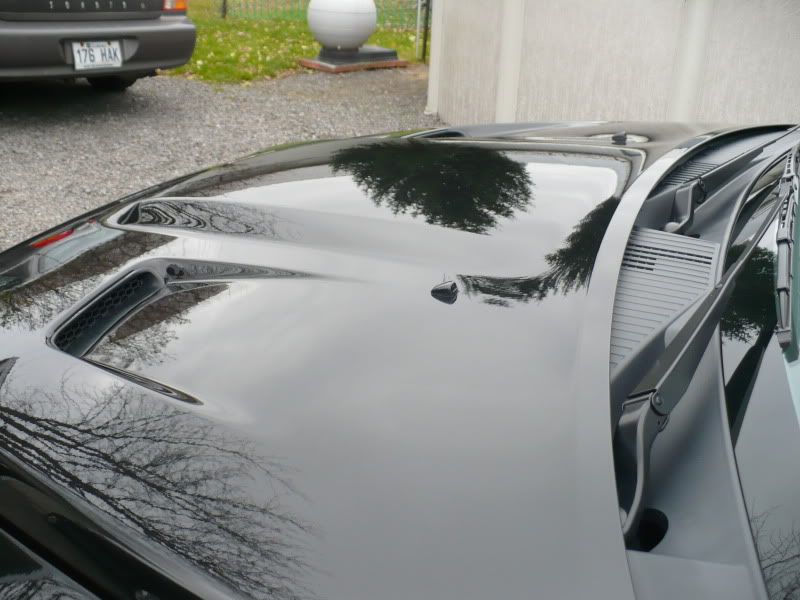 photos273.jpg