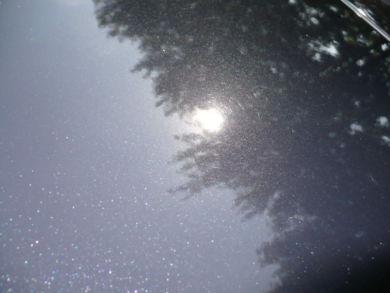 photos567.jpg
