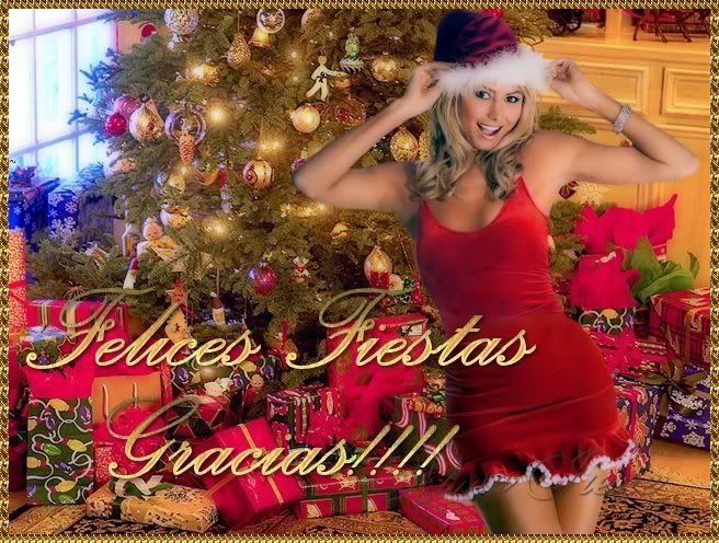 xmasWallpaper21gracias.jpg picture by SONADORADEAMOR