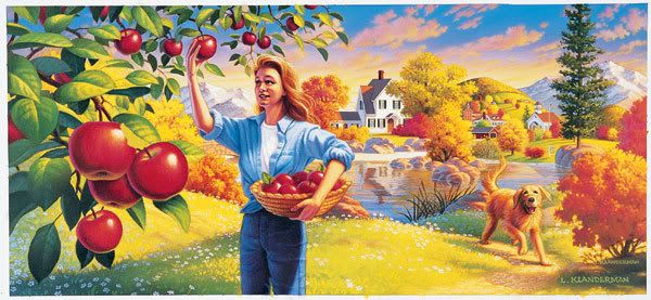 Fall colors and apples