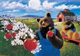bears and apples