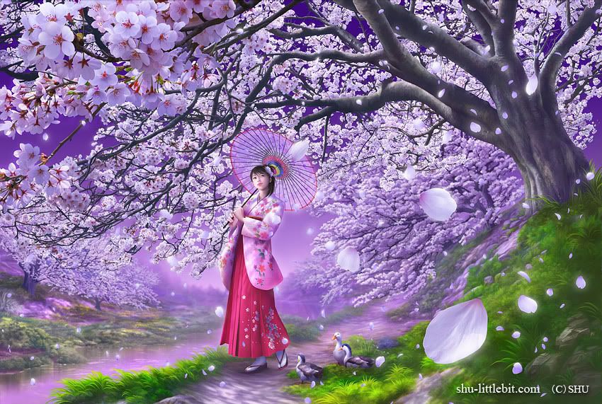 geisha, cherry blossoms