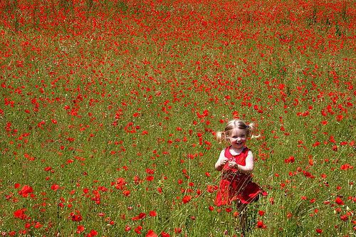 Red Poppies, red dress