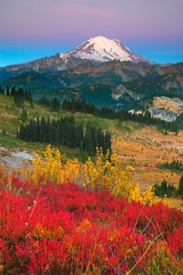 Mt Rainier