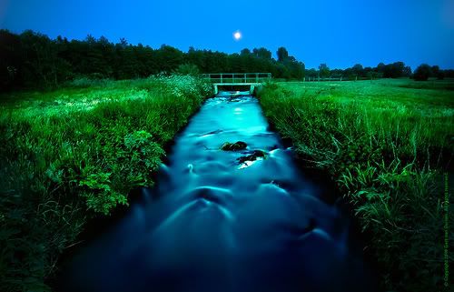 Gorgeous moonlight creek