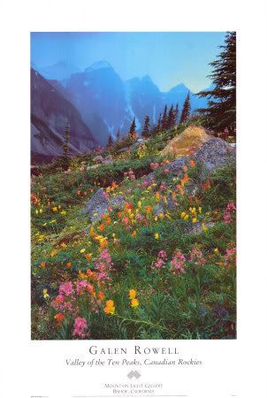 Mountain and wildflowers