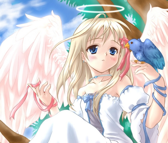 Anime Angel and bird
