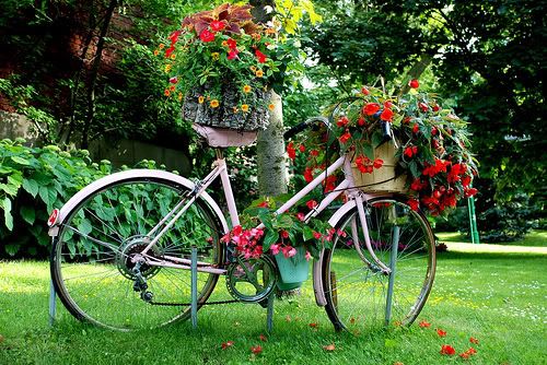 Bike with flowers photo bikewflowers.jpg