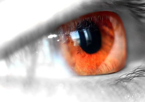 orange eye closeup