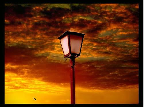gold sky and lampost